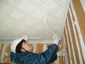 �h���H�[�ł̓V�䒆�h����K